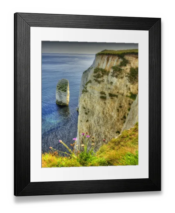 Framed Print : Handfast Point, on the World Heritage Jurassic coastline of Dorset, south west England Framed Print : Handfast Point, on the World Heritage Jurassic coastline of Dorset, south west England