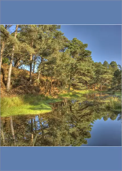 Lagoon formed from an old disused claypit, near Wareham dorset, England