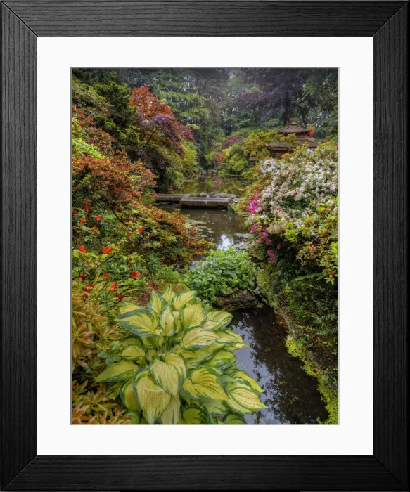Framed Print : Japanese Gardens, Poole, England