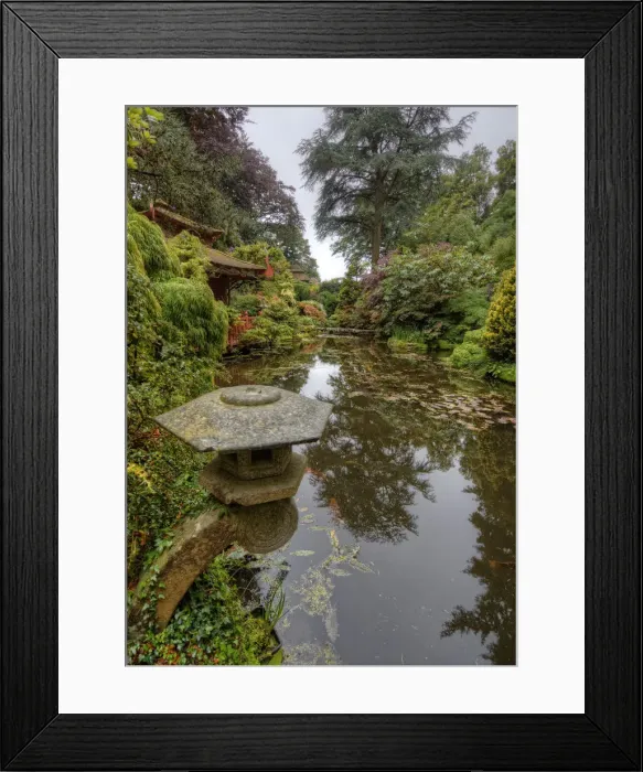 Framed Print : Japanese Gardens, Poole, England