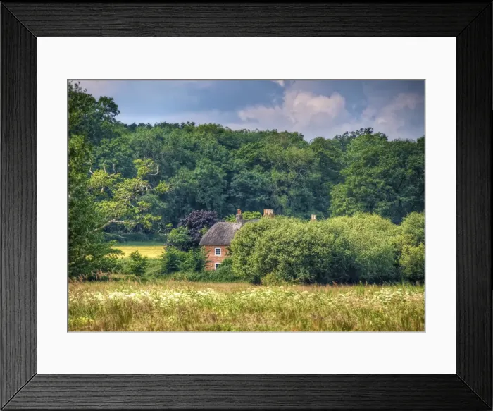 Framed Print : A spring rural scene in Hampshire, England