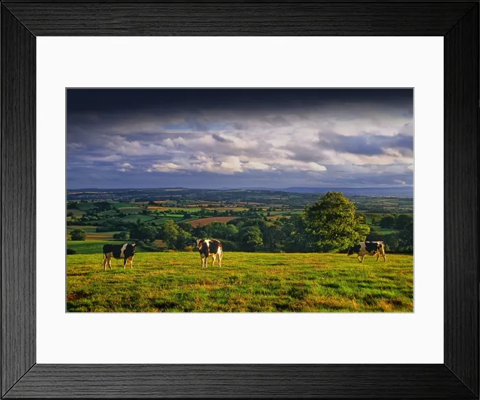 Framed Print : Afternoon light in the rolling countryside of Hampshire, England