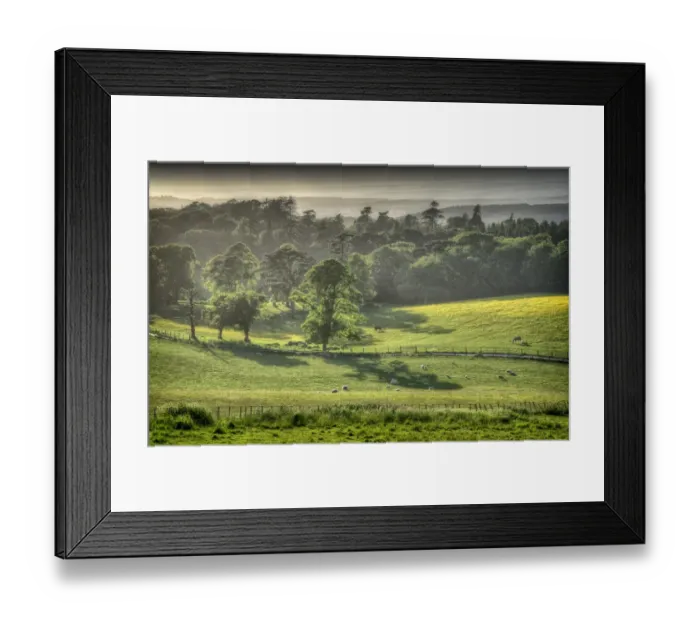 Framed Print : Grange Heath, a very scenic rural area near the Isle of Purbeck, Dorset, England Framed Print : Grange Heath, a very scenic rural area near the Isle of Purbeck, Dorset, England
