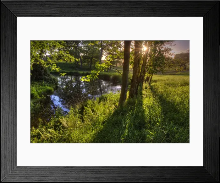 Framed Print : Grange Heath, a very scenic rural area near the Isle of Purbeck, Dorset, England Framed Print : Grange Heath, a very scenic rural area near the Isle of Purbeck, Dorset, England