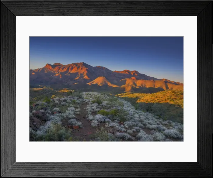 Framed Print : A stunning red tinged dawn at the Glass Range, southern Flinders ranges, South Australia Framed Print : A stunning red tinged dawn at the Glass Range, southern Flinders ranges, South Australia