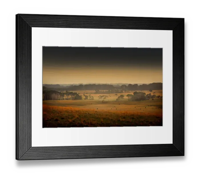 Framed Print : Misty morning near Gentle Annie, a rural location and the highest point on King Island, Bass Strait, Tasmania, Australia Framed Print : Misty morning near Gentle Annie, a rural location and the highest point on King Island, Bass Strait, Tasmania, Australia