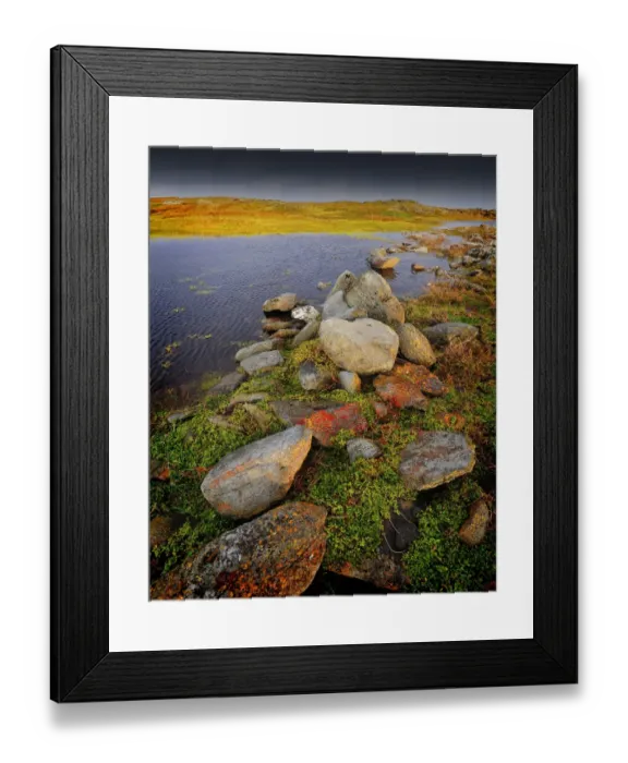Framed Print : Wild moorland near Surprise bay in winter, King Island, Bass Strait, Tasmania, Australia