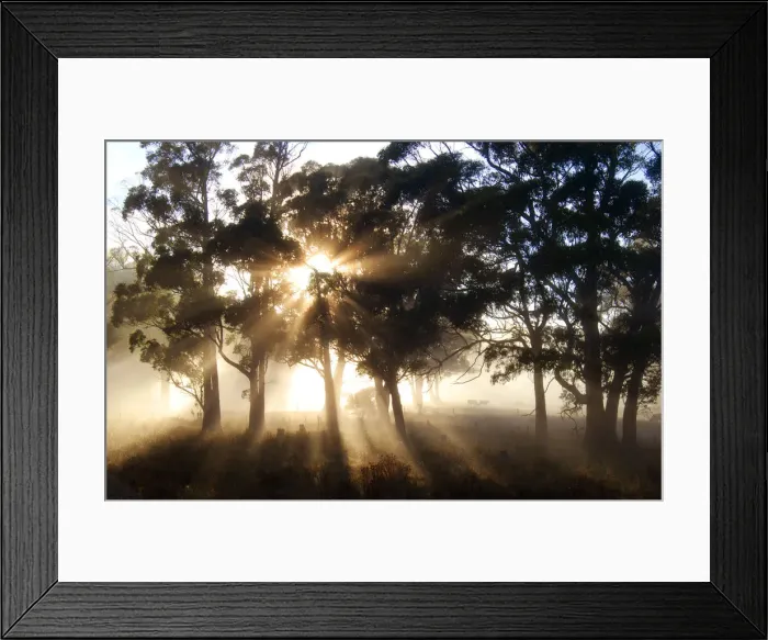 Framed Print : First light of dawn near the Dasher river at Paradise in the Central Plateau of Tasmania Framed Print : First light of dawn near the Dasher river at Paradise in the Central Plateau of Tasmania