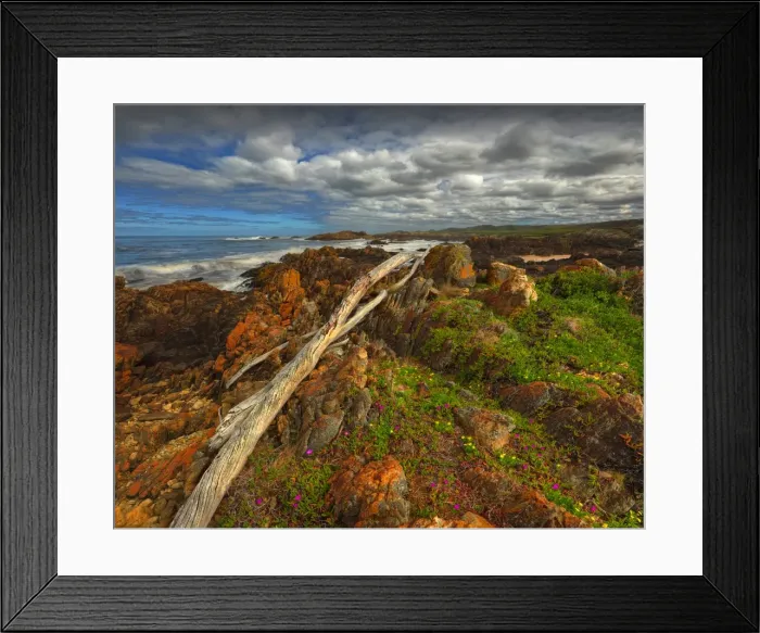 Framed Print : Driftwood lying across boulders on the Tarkine coastline, Western Tasmania Framed Print : Driftwood lying across boulders on the Tarkine coastline, Western Tasmania