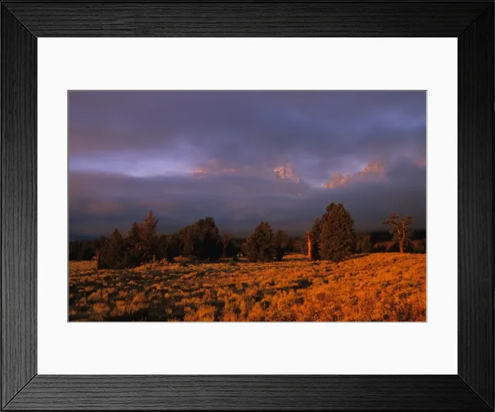 Framed Print : Misty dawn in the Grand Teton National Park near Signal Mountain, Wyoming