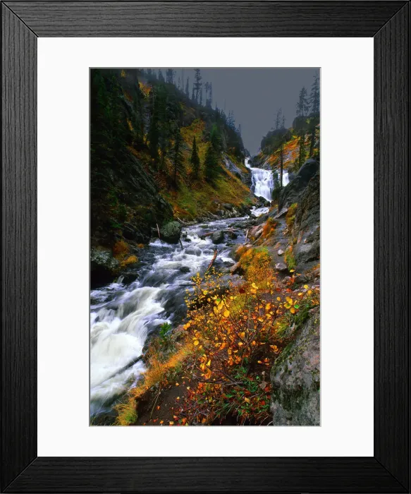 Framed Print : Misty river and Autumn colours, flowing near Yellowstone Lake, Wyoming