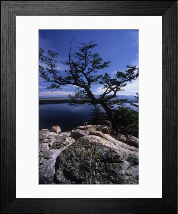 Framed Print : Jenny lake view, Grand Teton national park, Wyoming