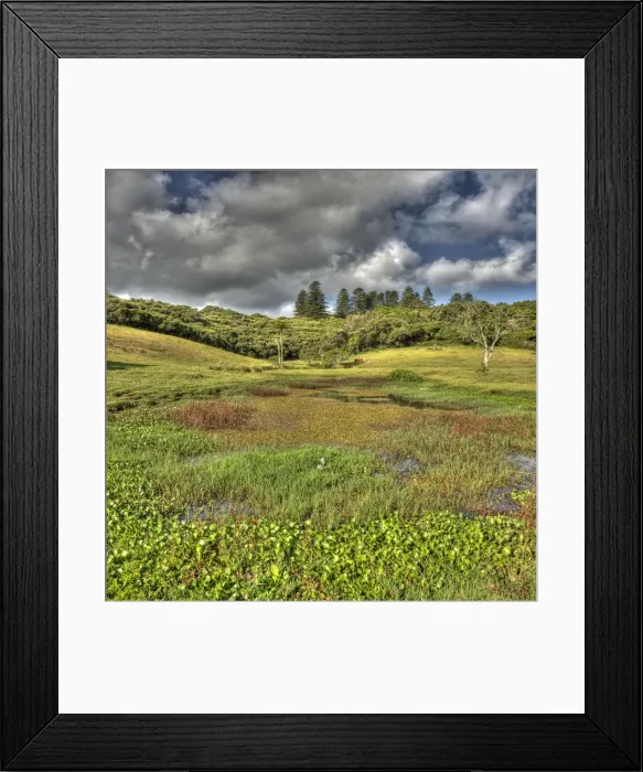 Framed Print : The mission valley and view across the wetlands, Norfolk Island