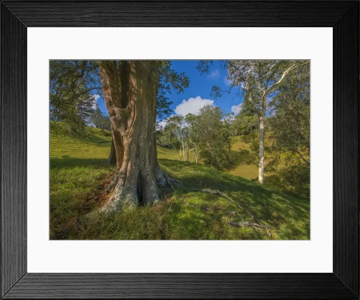 Framed Print : A countryside view in the picturesque rurals of Norfolk Island