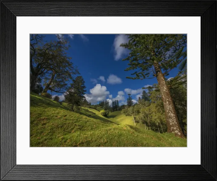 Framed Print : A countryside view in the picturesque rurals of Norfolk Island Framed Print : A countryside view in the picturesque rurals of Norfolk Island