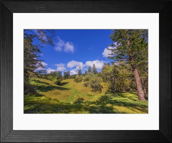 Framed Print : A countryside view in the picturesque rurals of Norfolk Island Framed Print : A countryside view in the picturesque rurals of Norfolk Island