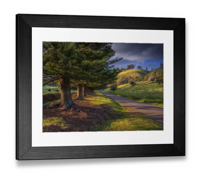 Framed Print : Afternoon light sweeps across the Arthur Vale valley, Norfolk Island