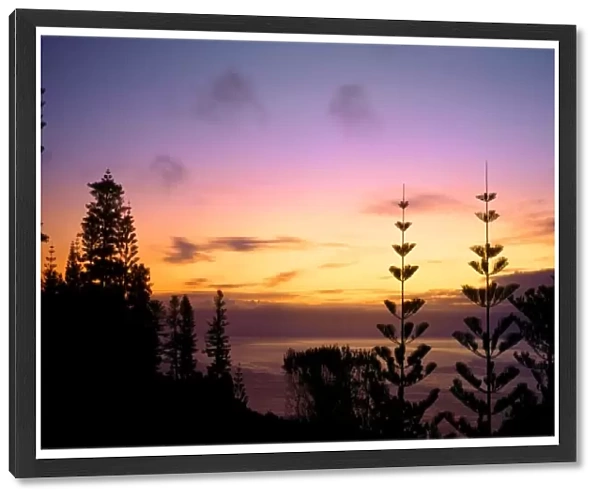 Sunset at Puppies point, Norfolk Island