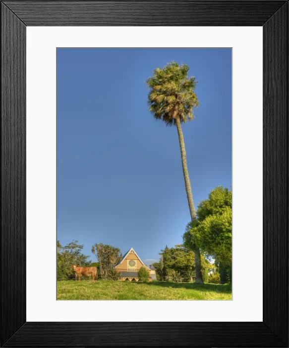 Framed Print : A view to the historic Saint Barnabas Chapel, Norfolk Island Framed Print : A view to the historic Saint Barnabas Chapel, Norfolk Island