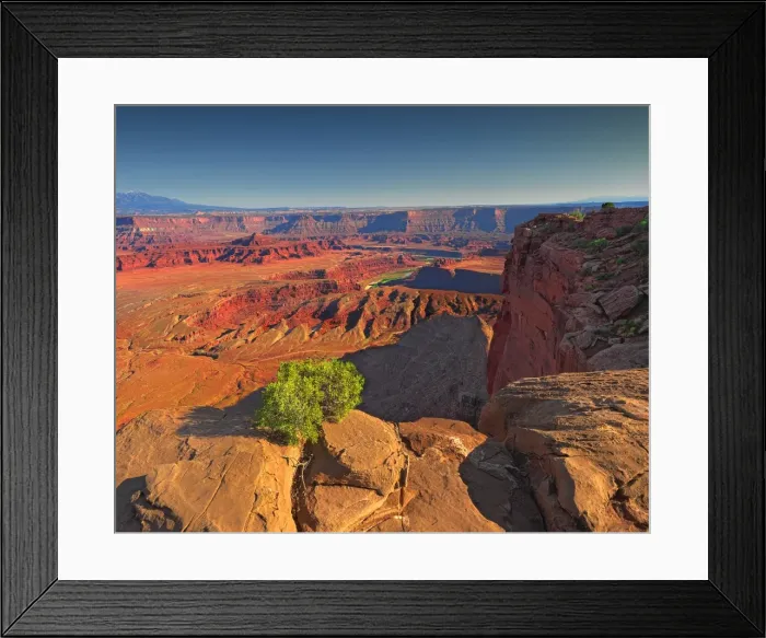 Framed Print : The viewpoint of the Colorado river at Dead Horse point, Utah Framed Print : The viewpoint of the Colorado river at Dead Horse point, Utah