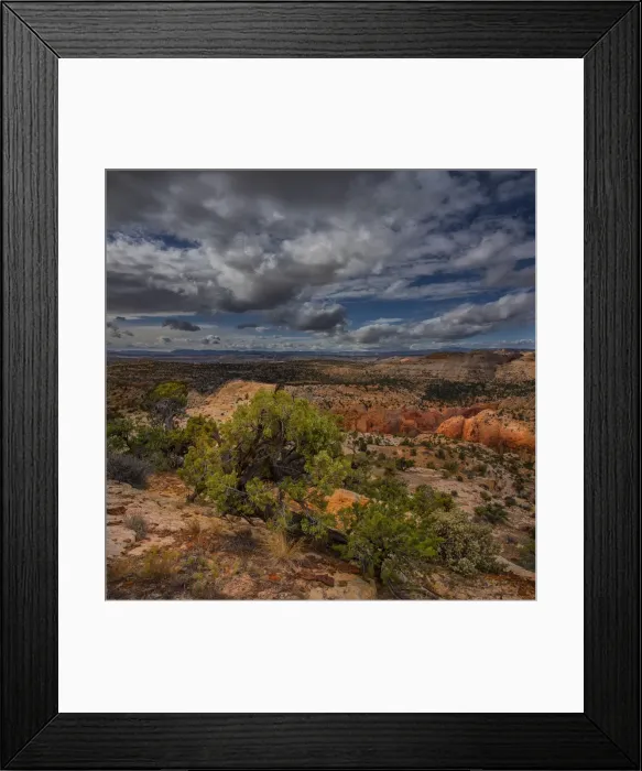 Framed Print : A scenic viewpoint in the Escalante wilderness, Utah, western United States Framed Print : A scenic viewpoint in the Escalante wilderness, Utah, western United States