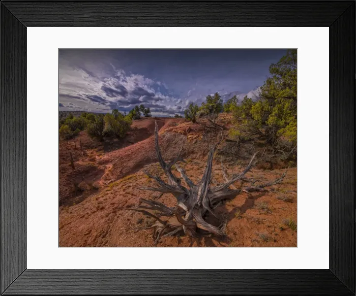 Framed Print : A scenic view in the Kodachrome Basin State Park Utah, western United States Framed Print : A scenic view in the Kodachrome Basin State Park Utah, western United States