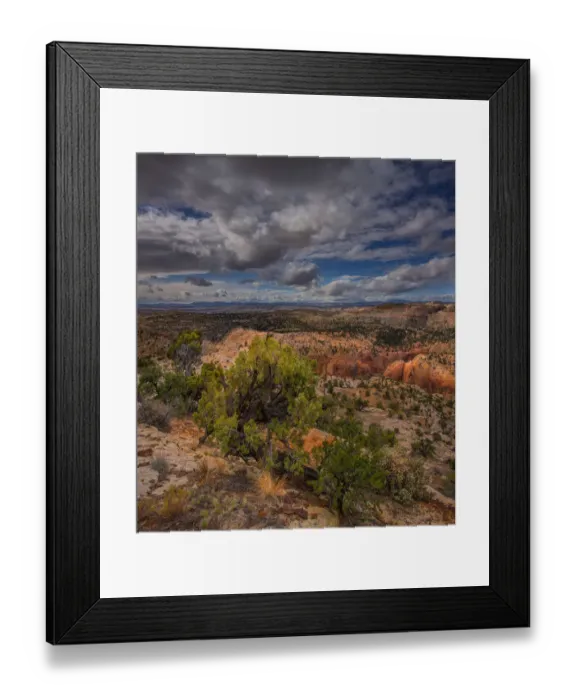 Framed Print : A scenic view at Capital Reef National Park in Utah, western United States Framed Print : A scenic view at Capital Reef National Park in Utah, western United States