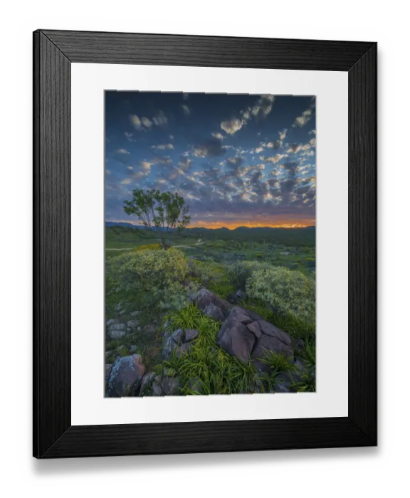 Framed Print : Sunset in the Bunaroo valley in the southern region of Flinders Ranges National Park, South Australia Framed Print : Sunset in the Bunaroo valley in the southern region of Flinders Ranges National Park, South Australia