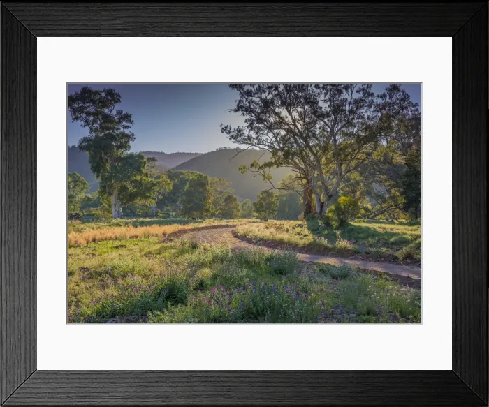 Framed Print : Brachina gorge at dawn, southern region of the Flinders Ranges National Park, South Australia
