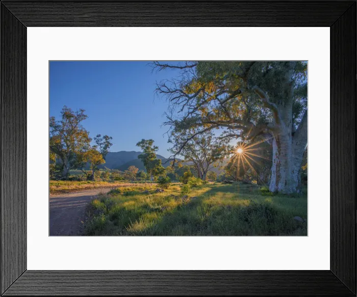Framed Print : Brachina gorge at dawn, southern region of the Flinders Ranges National Park, South Australia Framed Print : Brachina gorge at dawn, southern region of the Flinders Ranges National Park, South Australia