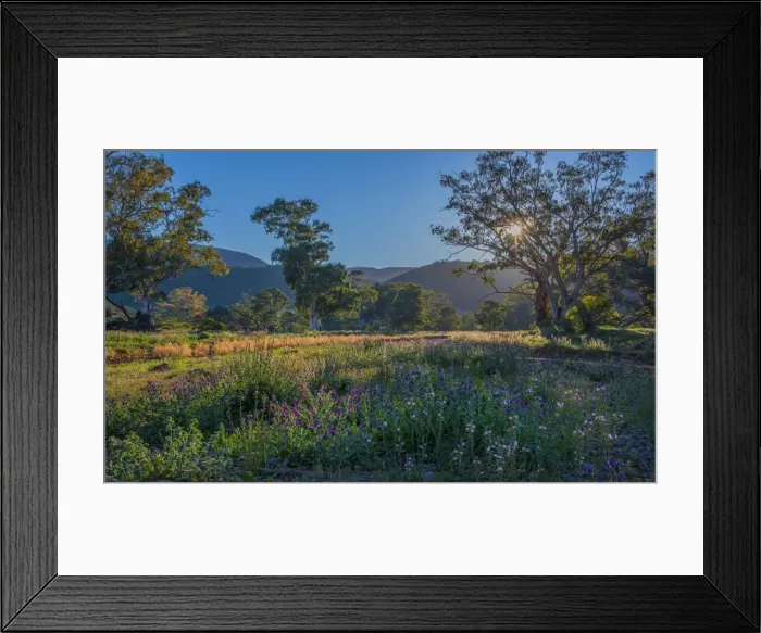 Framed Print : Brachina gorge at dawn, southern region of the Flinders Ranges National Park, South Australia