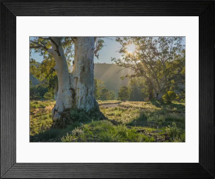 Framed Print : Brachina gorge at dawn, southern region of the Flinders Ranges National Park, South Australia Framed Print : Brachina gorge at dawn, southern region of the Flinders Ranges National Park, South Australia