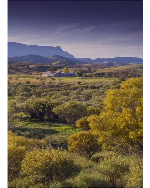 View towards the Hansen Ranges, Flinders Ranges National Park, South Australia