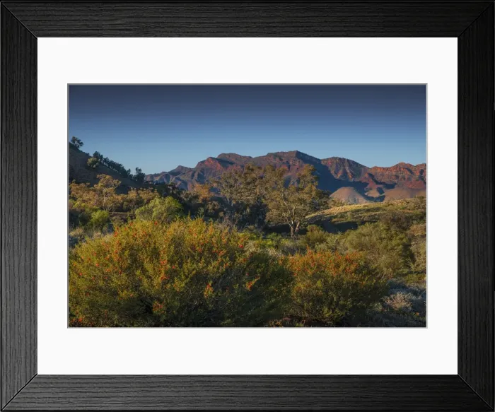 Framed Print : Bunaroo Valley, southern region of the Flinders Ranges in South Australia