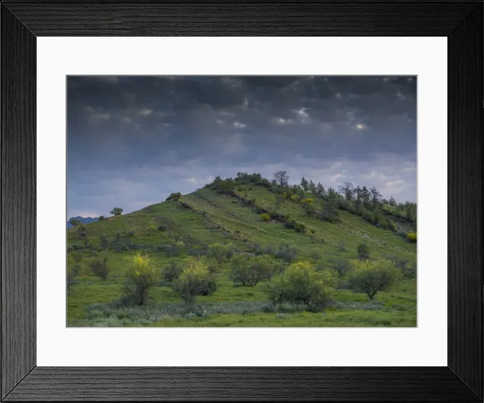 Framed Print : Bunaroo valley in the southern region of Flinders Ranges National Park, South Australia