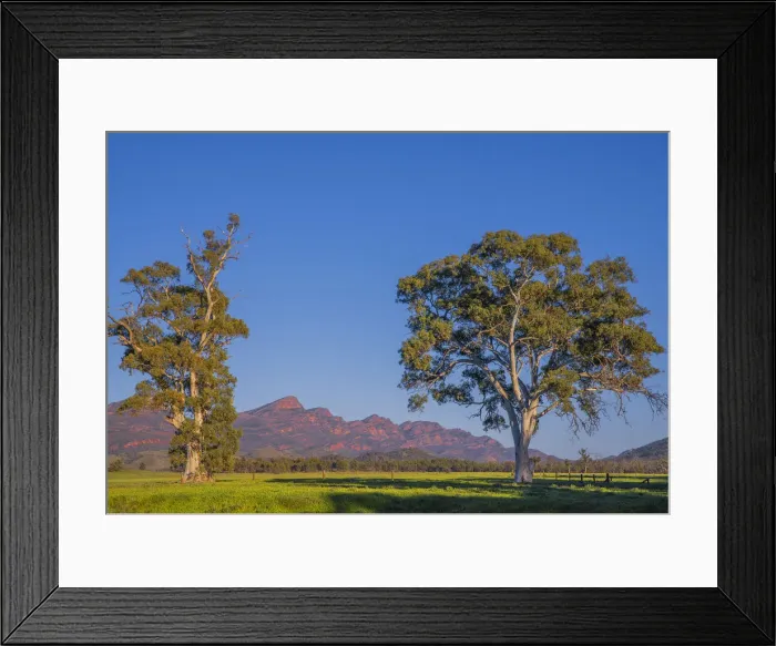 Framed Print : First light of Morning near Wilpena pound, Flinders Ranges, South Australia Framed Print : First light of Morning near Wilpena pound, Flinders Ranges, South Australia