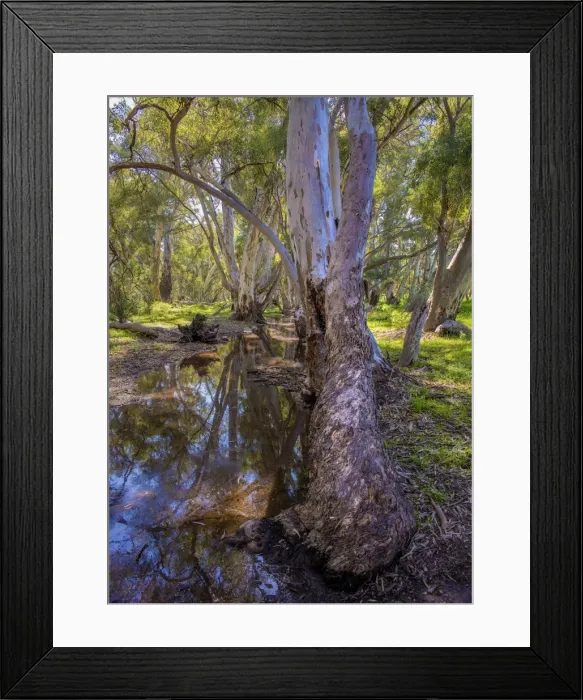 Framed Print : Wilpena creek, Flinders Ranges National Park, South Australia
