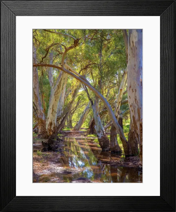 Framed Print : Wilpena creek, Flinders Ranges National Park, South Australia