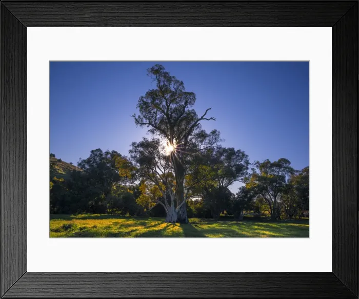 Framed Print : First light of Morning near Wilpena pound, Flinders Ranges, South Australia