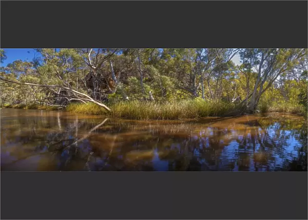 A lagoon with reflections, Wilpena, Flinders Ranges National Park, South Australia