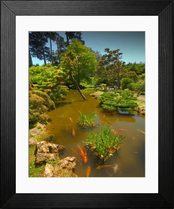 Framed Print : Japanese tea gardens in the Golden State Park, San Francisco, California