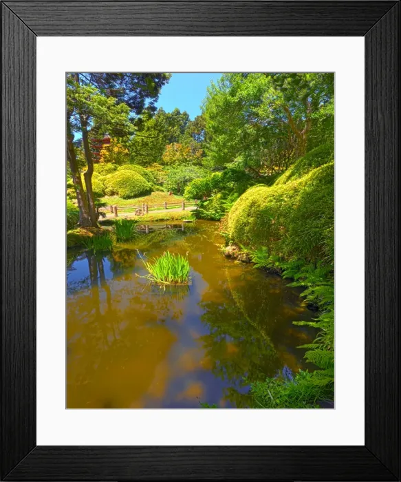 Framed Print : Japanese tea gardens in the Golden State Park, San Francisco, California