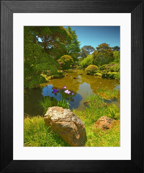 Framed Print : Japanese tea gardens in the Golden State Park, San Francisco, California