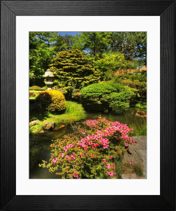 Framed Print : Japanese tea gardens in the Golden State Park, San Francisco, California