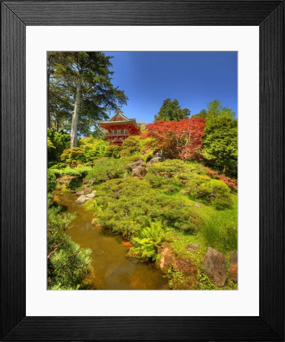 Framed Print : Japanese tea gardens in the Golden State Park, San Francisco, California