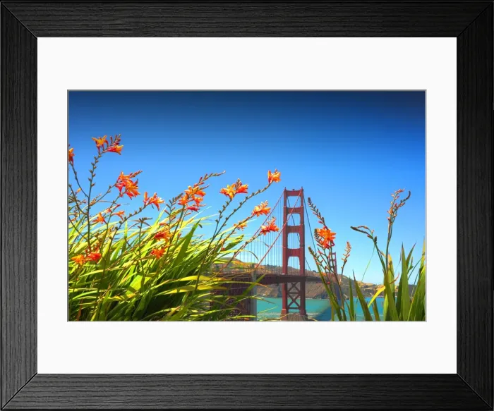 Framed Print : A view of Golden gate Bridge, San Francisco, California Framed Print : A view of Golden gate Bridge, San Francisco, California