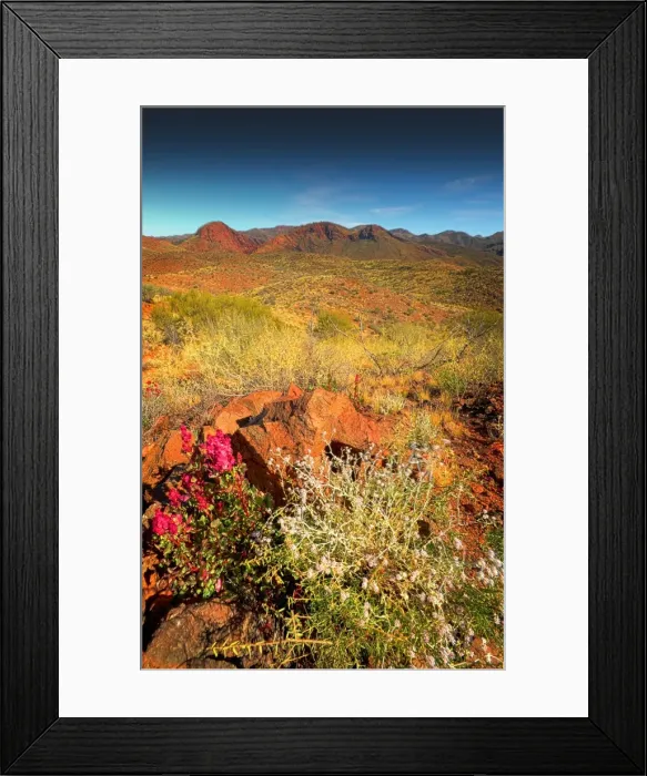 Framed Print : Arkaroola, an area of incredible semi arid wilderness in the northern Flinders Ranges of South Australia Framed Print : Arkaroola, an area of incredible semi arid wilderness in the northern Flinders Ranges of South Australia