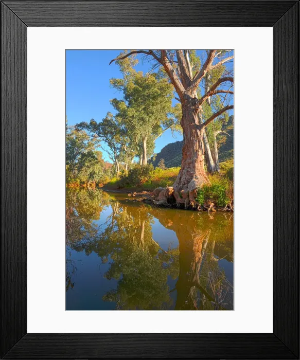 Framed Print : Arkaroola, an area of incredible semi arid wilderness in the northern Flinders Ranges of South Australia