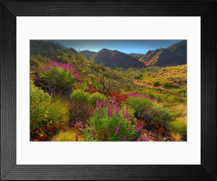 Framed Print : Arkaroola, an area of incredible semi arid wilderness in the northern Flinders Ranges of South Australia Framed Print : Arkaroola, an area of incredible semi arid wilderness in the northern Flinders Ranges of South Australia
