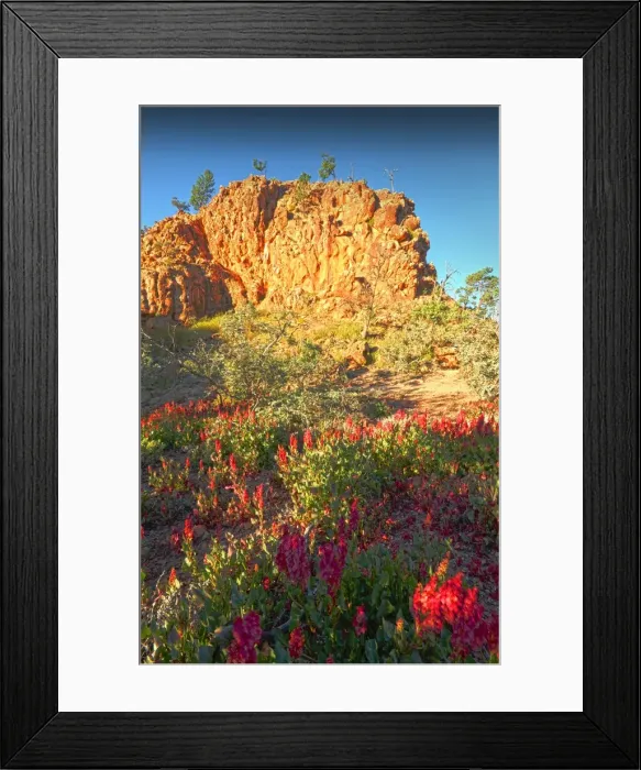 Framed Print : Arkaroola, an area of incredible semi arid wilderness in the northern Flinders Ranges of South Australia